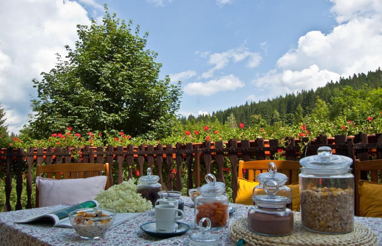 Stronie Śląskie Hotel Gorski Czarna Gora מראה חיצוני תמונה