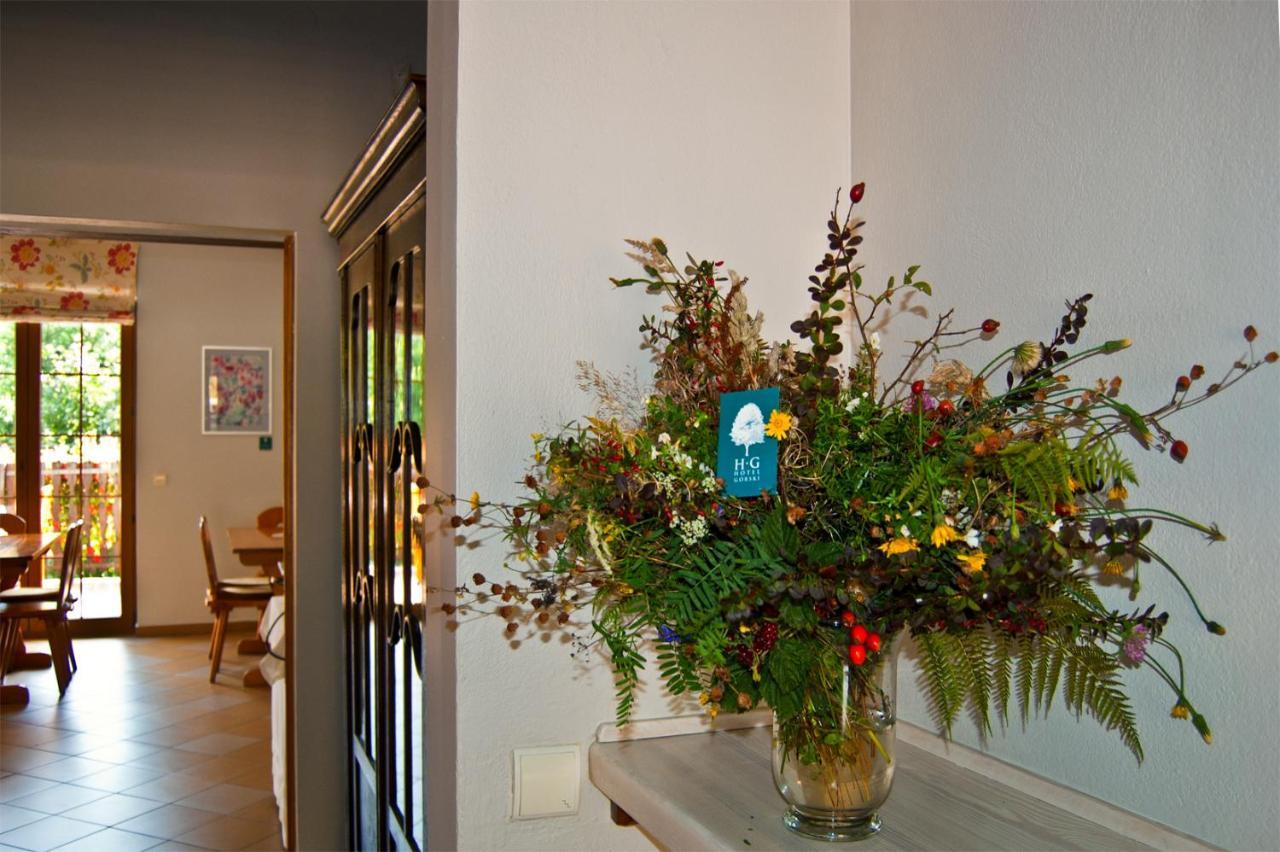Stronie Śląskie Hotel Gorski Czarna Gora מראה חיצוני תמונה