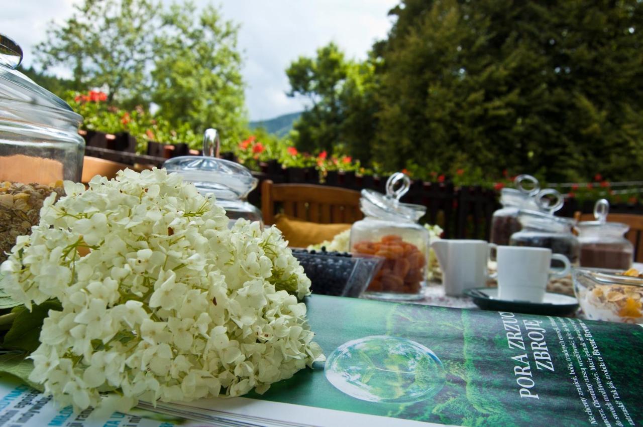 Stronie Śląskie Hotel Gorski Czarna Gora מראה חיצוני תמונה