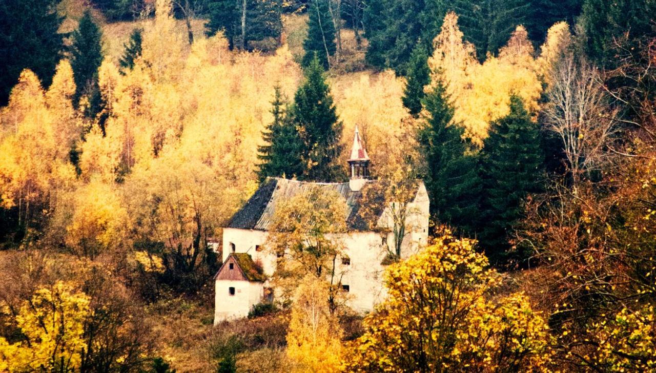 Stronie Śląskie Hotel Gorski Czarna Gora מראה חיצוני תמונה